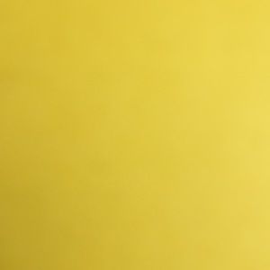 Meet your Posher, Traci